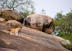 Serengeti National Park, Tanzania